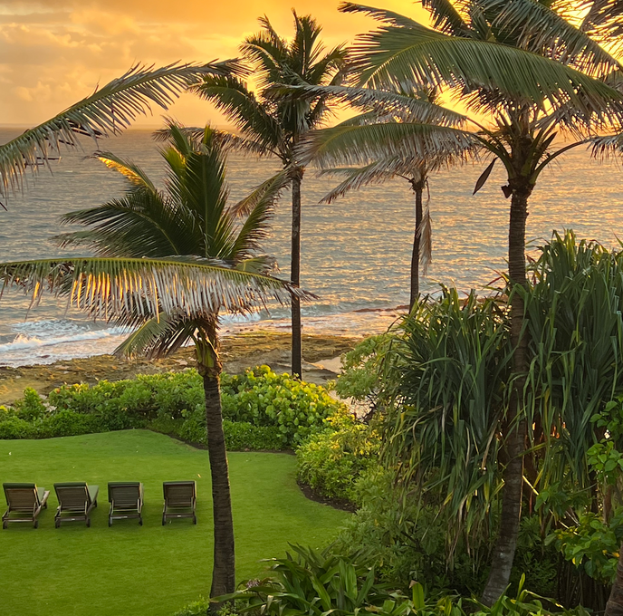 A Day in the Life | Maui